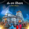 About Om Namah Shivay ( Shiv Dhun ) Song
