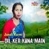 About Dil Ker Kona Main Song