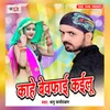 About Kaahe Bewafai Kailu Song