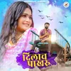 About Dilacha Pakhru Song