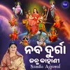 About Naba Durga Janma Kahani Song