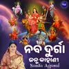 Naba Durga Janma Kahani