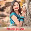 About Dil Ka Rog laga Chali Song