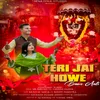 About Teri Jai Howe Bawe Aali Song