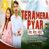 About TERA MERA PYAR Song