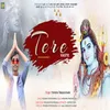 About TERE VASTE Song