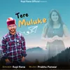 About Tere Muluke Song