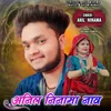 About Anil ninama naav Song