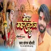 About Mela Maharajganj Ke Song