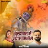 About Vrindavan Me Shyam Milege Song