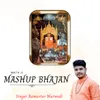 About Mata Ji Bhajan Mashup Song