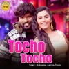 About Tocho Tocho Song