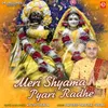 Meri Shyama Pyari Radhe