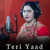 About Teri Yaad Song