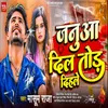 About Janua Dil Tod Dihale Song