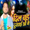 About Dil bad Dukhai Chhau Ge Song