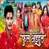 About Phool Adhul Song