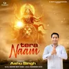 About Tera Naam Song