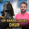 Om Namah Shivay (Dhun)