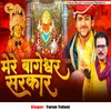 About Mere Bageshwar Sarkar Song