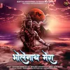 About Bholenath Mera Song