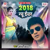About 2018 New Year Song