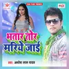 About Bhatar Tor Mariye Jaai Song