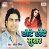 About Chhote Chhote Musar Song