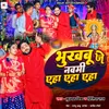 About Bhukhbu Je Navami Aah Aah Aah Song