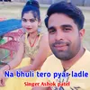 About Na bhuli tero pyar ladle Song