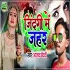 About Zindgi Me Jahar Song