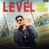 About Level Hai High Song