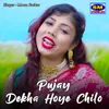 Pujay Dekha Hoye Chilo