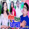 About Tohar Dihal Dhokha Song