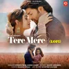 About Tere Mere (LOFI) Song