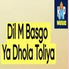 About Dil M Basgo Ya Dhola Toliya Song