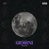 About Gemini Song