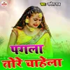 About Pagala Tore Chahela Song