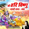 About Shree Hari Vishnu Namo Namah mantr Song