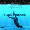 About FAKE FRIENDS Song