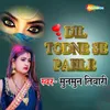 Dil Todne Se Pahle