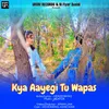 About Kya Aayegi Tu Wapas Song