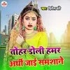 About Tohar Doli Humar Arthi Jai Samsan Song