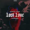 About Lost Love Song