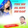 TERE BIN DIL ROVE DIN RAT