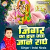 About Jigar Ka Hal Kya Jane Radhe Song