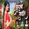 About Gulabi Sareet Song