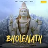 About Bholenath Mere Man Ki Samajhna Song