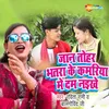 About Jaan Tohar Bhatara Ke Kamariya Me Dam Naikhe Song