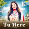 About Tu Mere Song